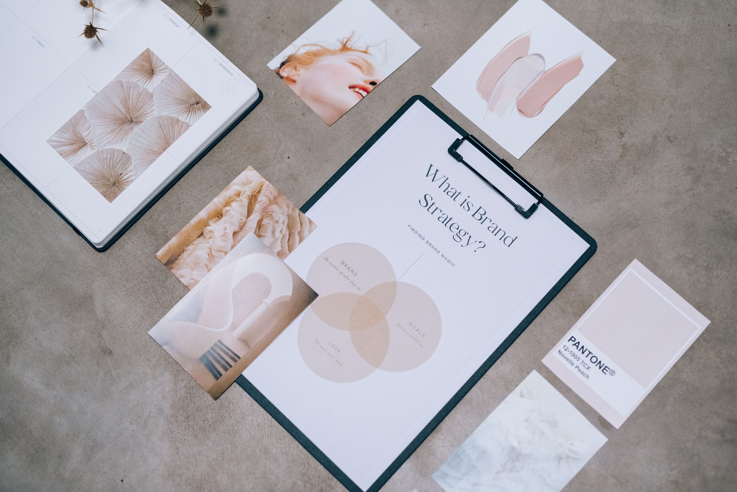 Flat lay of branding materials and design concepts for small business brand identity